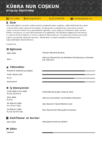 cv indir